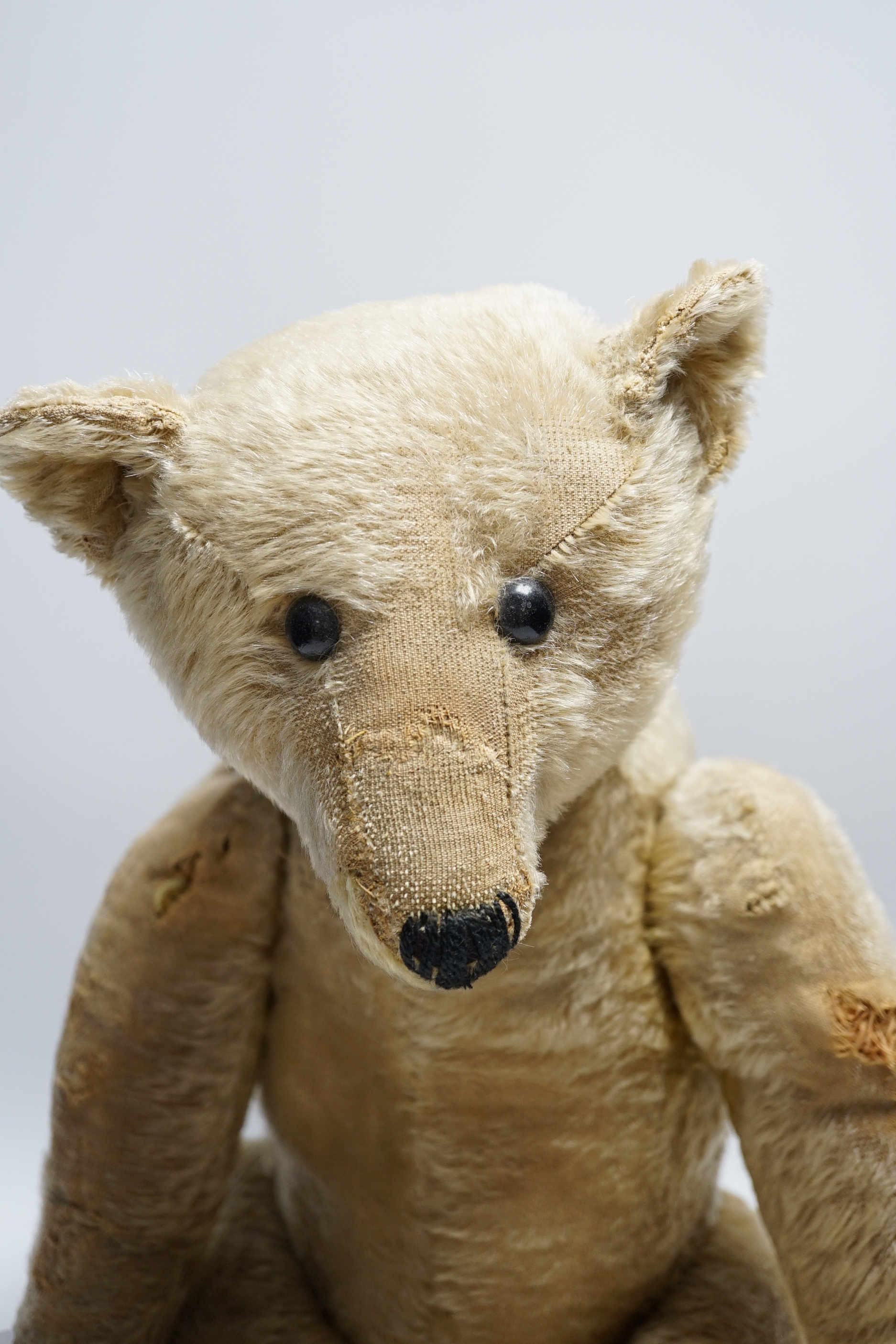 A Steiff bear c.1910, 65cm holes to front of arms, repairs to paw pads and nose, no button